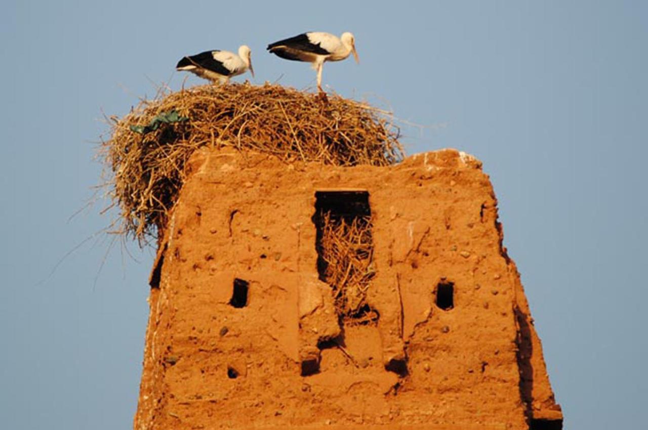 Appartement Anatim Ouarzazate Luaran gambar